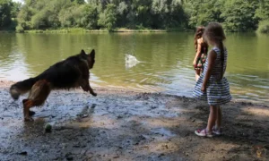 ayla-celina-stella
