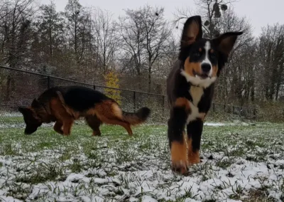 ayla-fee-wanna-herder