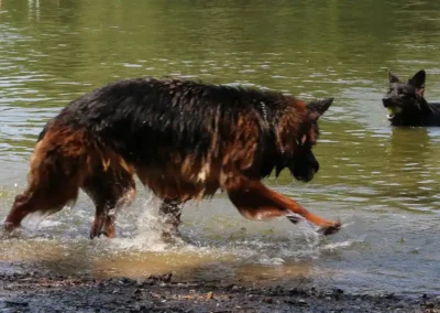 ayla-lupo-water