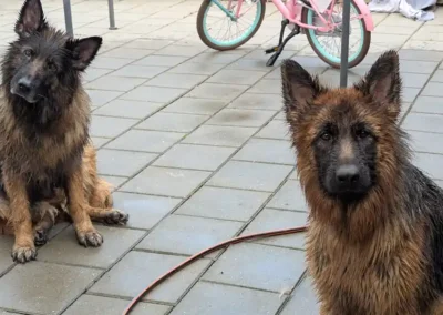 ayla-zara-wassen