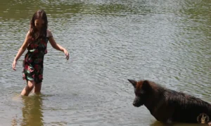 celina-ayla-water