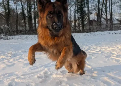 zara-sneeuw3